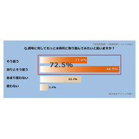 夏のボーナス商戦、“趣味の本格化”クッキリ……増加見込みの約8割が、趣味の品を購入 画像