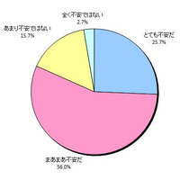 住宅購入、不安第1位は「強い売り込み営業」……東急不動産調べ 画像