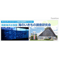 【夏休み】海浜水族園でお泊り教室…漁師体験も 画像