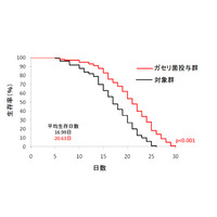 人間だったら107歳!?　“線虫”の寿命を延ばした意外な食物 画像