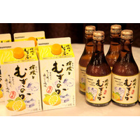 販売好調の“RTS飲料”、サントリーから焼酎ベースなど3種類が新発売 画像