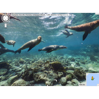 グーグル、ガラパゴス諸島のストリートビューを公開……9月15日はダーウィンの上陸記念日 画像