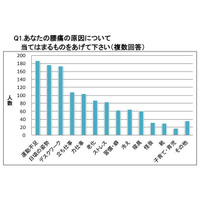 腰痛の原因、第1位は「運動不足」 画像