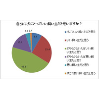 「自分は良い飼い主」は勘違い？……「犬の食事代は1日200円未満」9割 画像