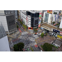 渋谷で芸術祭、音楽祭、新ワークデザインウィーク　2013年秋 画像