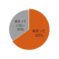 子どものオモチャにびっくり、親もハマる　バンダイ調査 画像