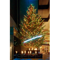 【クリスマス】ミキモトツリー、11月16日に点灯式…光が街へ広がる 画像