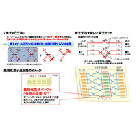 NTT、光子を用いた量子コンピュータの鍵となる「量子バッファ」を世界初実現 画像