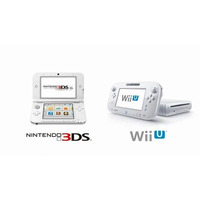 任天堂---Wii Uと3DSの「保護者による使用制限機能」を分かりやすく解説 画像