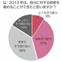 2013年「新年にかかげていた目標」、実現できた女性は半数未満 画像