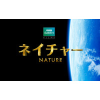 BBC EARTH、4KHD3Dカメラで撮影した迫力ネイチャードキュメンタリー　GW公開 画像