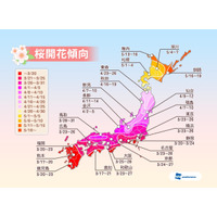 2014年の桜の開花予想、北日本はやや早め……ウェザーニューズが発表 画像