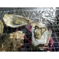 三陸の牡蠣を炭火で…浅草駅屋上に「かき小屋」が季節限定オープン 画像