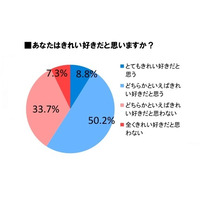 “きれい好き”を自負する人も掃除・洗濯は面倒？　「掃除嫌い」が約4割 画像