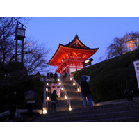 週末の京都に幻想的な露地行灯……「東山花灯路」 画像