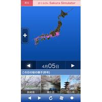 “未来”の桜開花状況もひと目でわかる「さくらシュミレーター」 画像