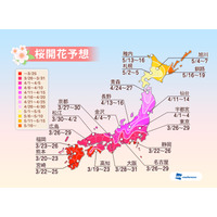 2014年の桜開花、高知県が一番乗り……平年より4日早く 画像