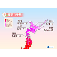 【GW】東北や北海道で桜の開花シーズンへ 画像