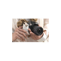 オリンパス、デジタル一眼レフカメラ「E-410」の本革ケース3色を限定販売 画像
