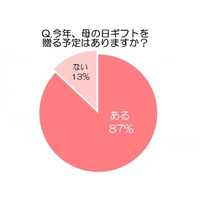 【母の日】欲しいもの第1位は「健康・美容家電」、実用性も期待 画像