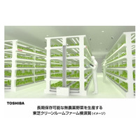 東芝、植物工場での野菜生産を事業化……遊休クリーンルームを活用 画像