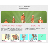 “筋肉検定”をWeb上で実施 画像