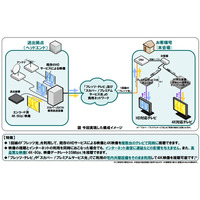 スカパーとNTTら、既存の商用ネットワークを用いた4K映像伝送に成功 画像