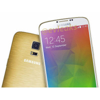 「GALAXY S5」の強化版「GALAXY F」goldenモデルの写真が流出 画像