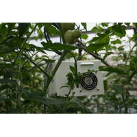 NEC、小松市のトマト農家へ農業クラウドを提供……生産力向上と人材育成 画像