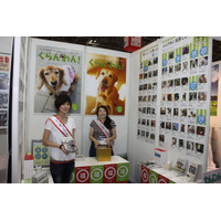 【Interpets 2014 Vol.16】シニア犬写真コンテストに投票して福袋をゲット 画像