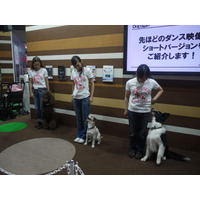 【Interpets 2014 Vol.29（動画）】踊りながらしつけの基礎を！トヨタ、Dog Danceを披露 画像