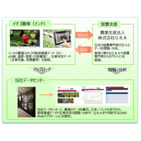 NEC-SI、遠隔地農業指導を管理システムを「インドICHIGOプロジェクト」に導入 画像