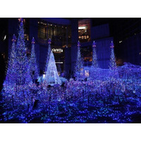 カレッタ汐留のクリスマス…幻想イルミを見ながらディナー 画像