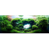 水中の芸術「AQUASCAPE」……エンクレストCM 画像