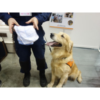 【Pet博 2015】災害現場で活躍する救助犬 画像