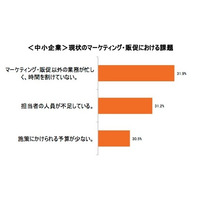 2015年の施策、中小と大企業でギャップ……マーケ担当者350名調査 画像