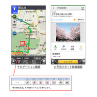 スマホアプリ「カーナビタイム」、桜の開花状況をリアルタイム提供 画像