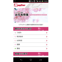 MapFan、全国の桜開花情報を無料公開 画像