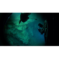 “生きた化石”次々と！ダイオウイカを撮影した潜水艇が熱帯の深海に挑む！ 画像