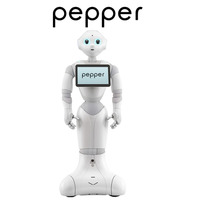 みずほ銀行、店舗での接客にロボット「Pepper」を導入 画像