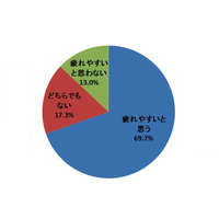 話題のココナッツウォーター、疲労回復やアンチエイジングに期待 画像