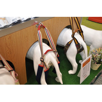 【Interpets 2015 Vo.14】トンボ、愛犬の“後ろ脚”を中心にサポートする新モデルを発表 画像