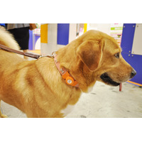 【Interpets 2015 Vo.17】迷子の愛犬・愛猫も見つかる！ペット用ウェアラブル「つながるコル」 画像