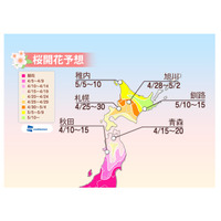 桜前線が東北に、北陸西部は今週末がお花見ラストチャンス 画像
