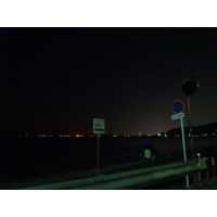こと座流星群、見えた？ 画像