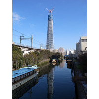 【フォトレポート】東京スカイツリー、開業から3周年 画像