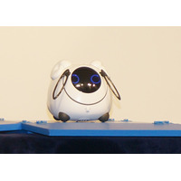 NTTドコモとタカラトミー、自然言語で会話ができる“おはなしロボット”「OHaNAS」 画像
