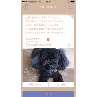 ユーザーの協力を元に迷子犬を見つけ出すアプリ「FINDOG」が提供開始 画像