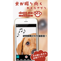 迷子犬を探せる顔認証機能……愛犬をカメラ目線で撮影できるアプリ「dogg.meカメラ」に追加 画像