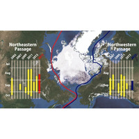 北極海の海氷、観測史上4番目に小さい面積 画像